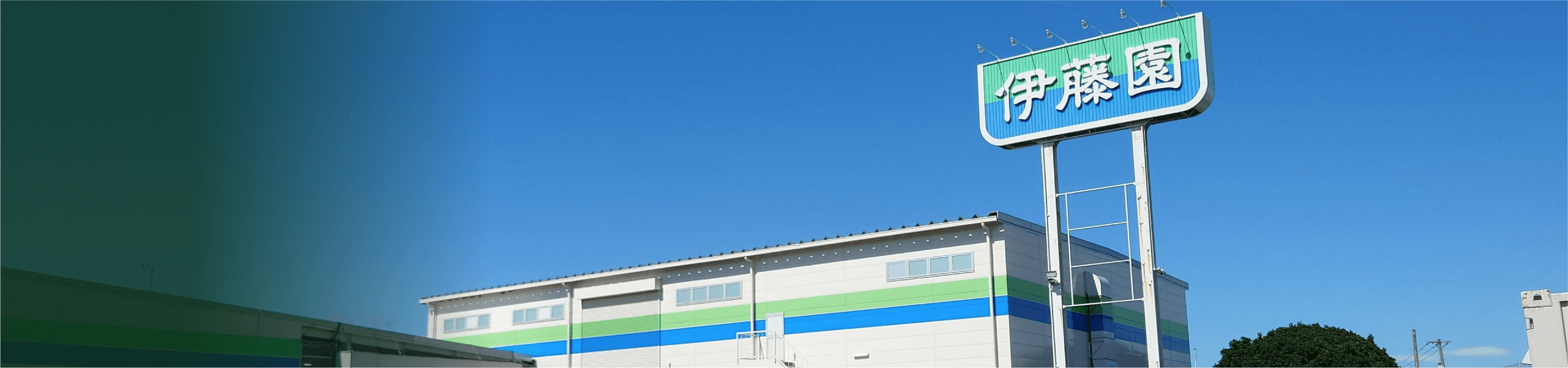 コンプライアンス