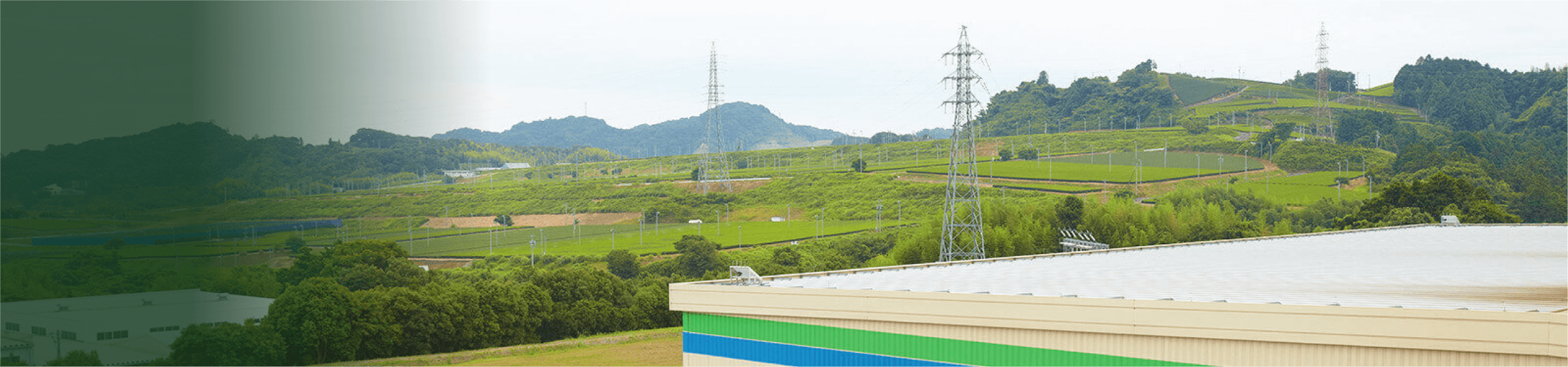採用情報